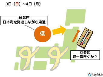 5171-340春一番.jpg