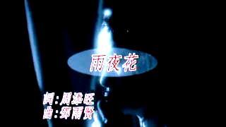 雨夜花1-320.jpg